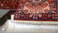 rug fringe detailing